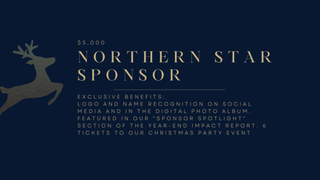 Christmas Party Northern Star Sponsor